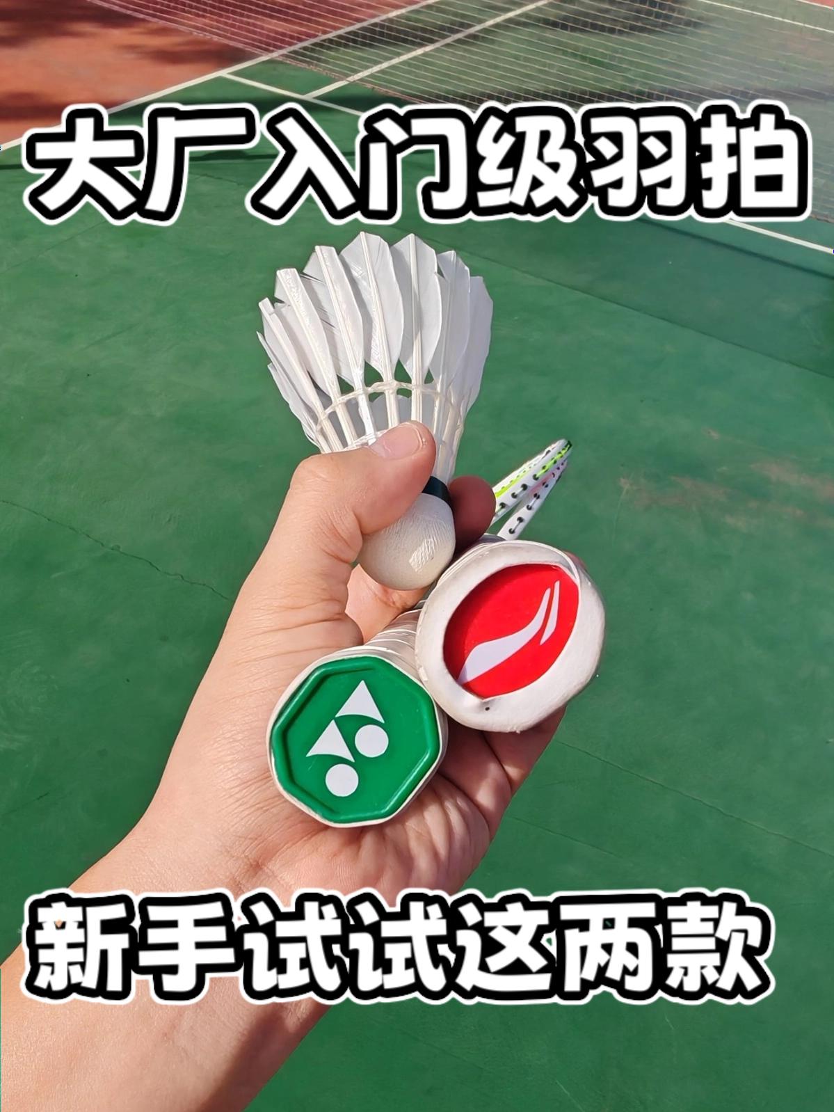 预算100+!新手入门级羽拍!