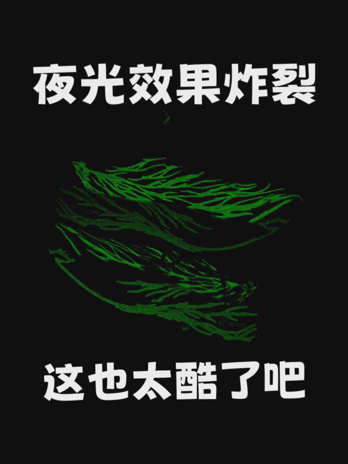 这夜光效果也太炸裂了!