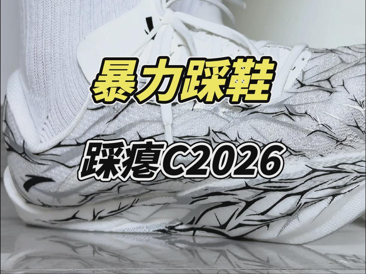 踏子的配色玩的很明白！