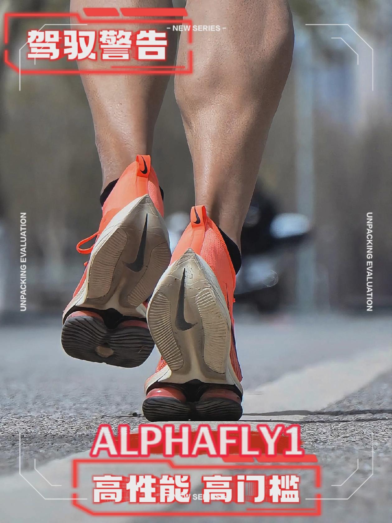 能驾驭alpha fly 的有几人？