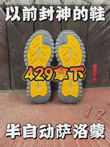 都不喜欢萨洛蒙了❓需要多少预算❓❗