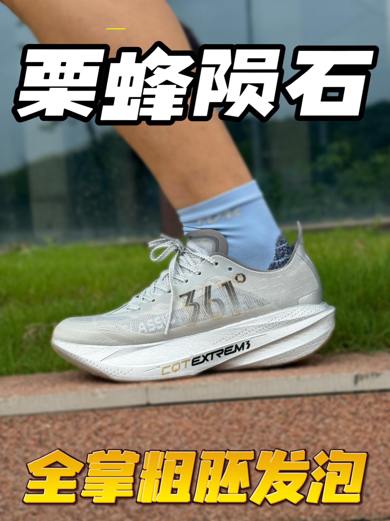 栗蜂SL［陨石］🪨灰❗️全掌粗胚