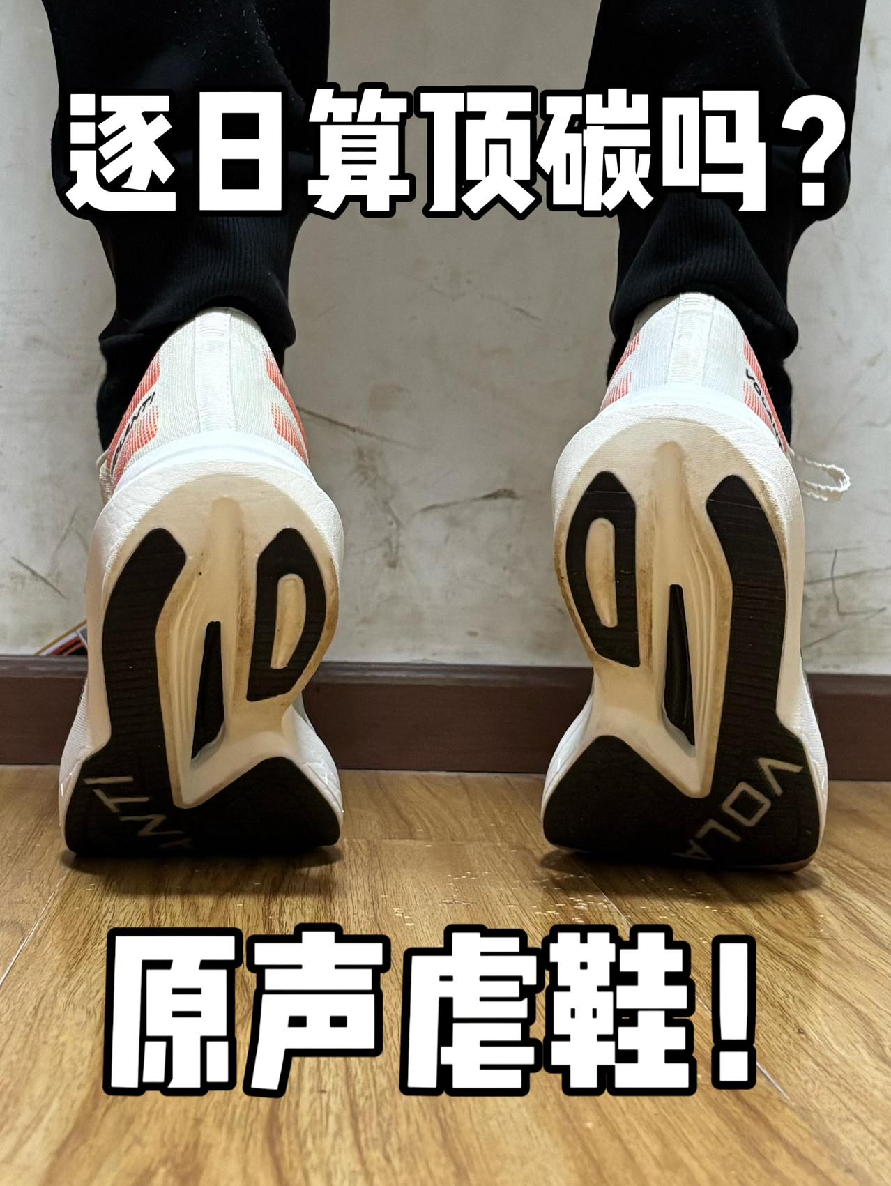逐日算顶碳吗❓