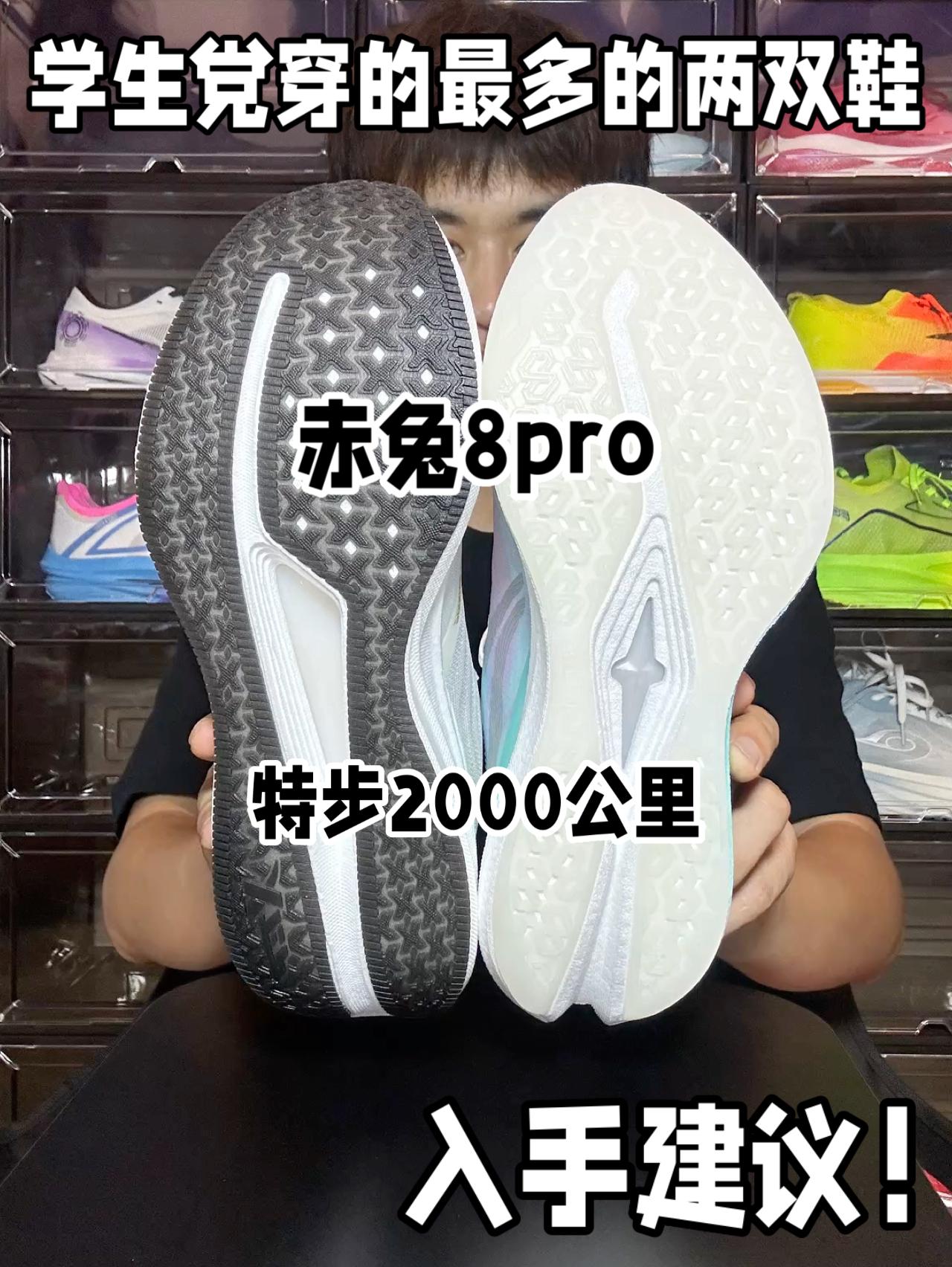 竞训万金油 低预算 选哪双⁉️