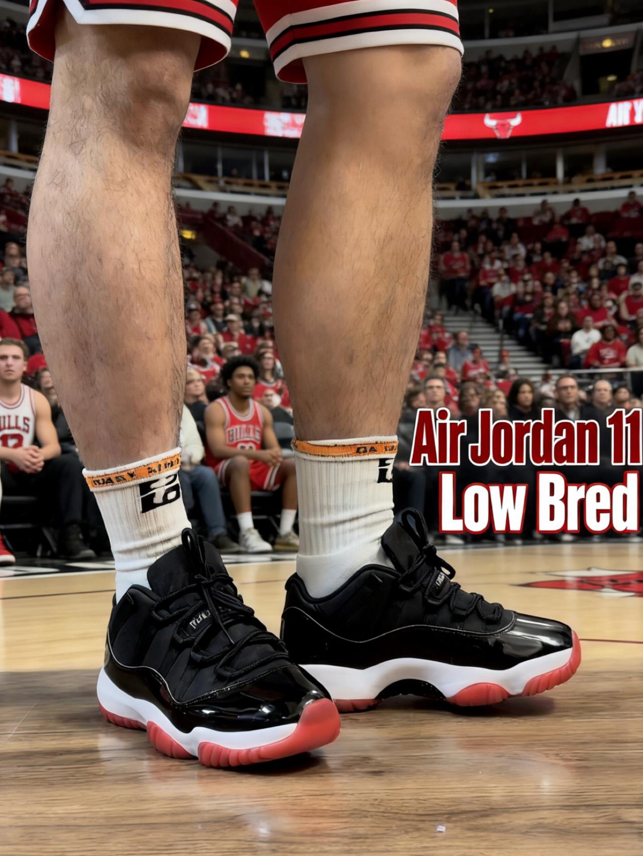 Air Jordan 11 Low Bred