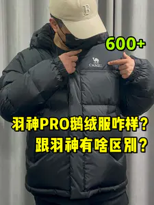 羽神PRO跟羽神有啥区别❓含绒量高不❓