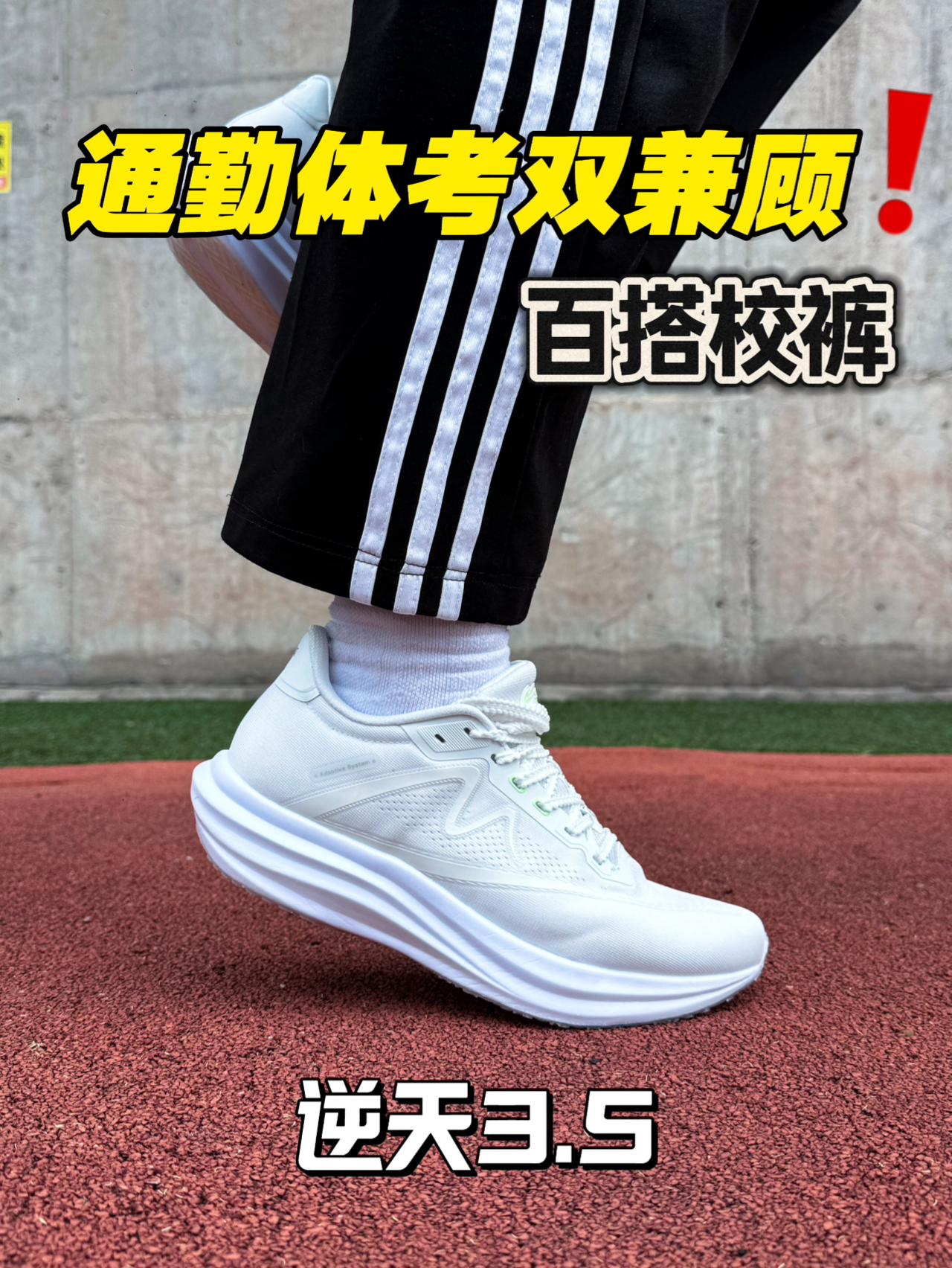 200档多场景体考跑鞋‼️音速猫逆天3.5‼️