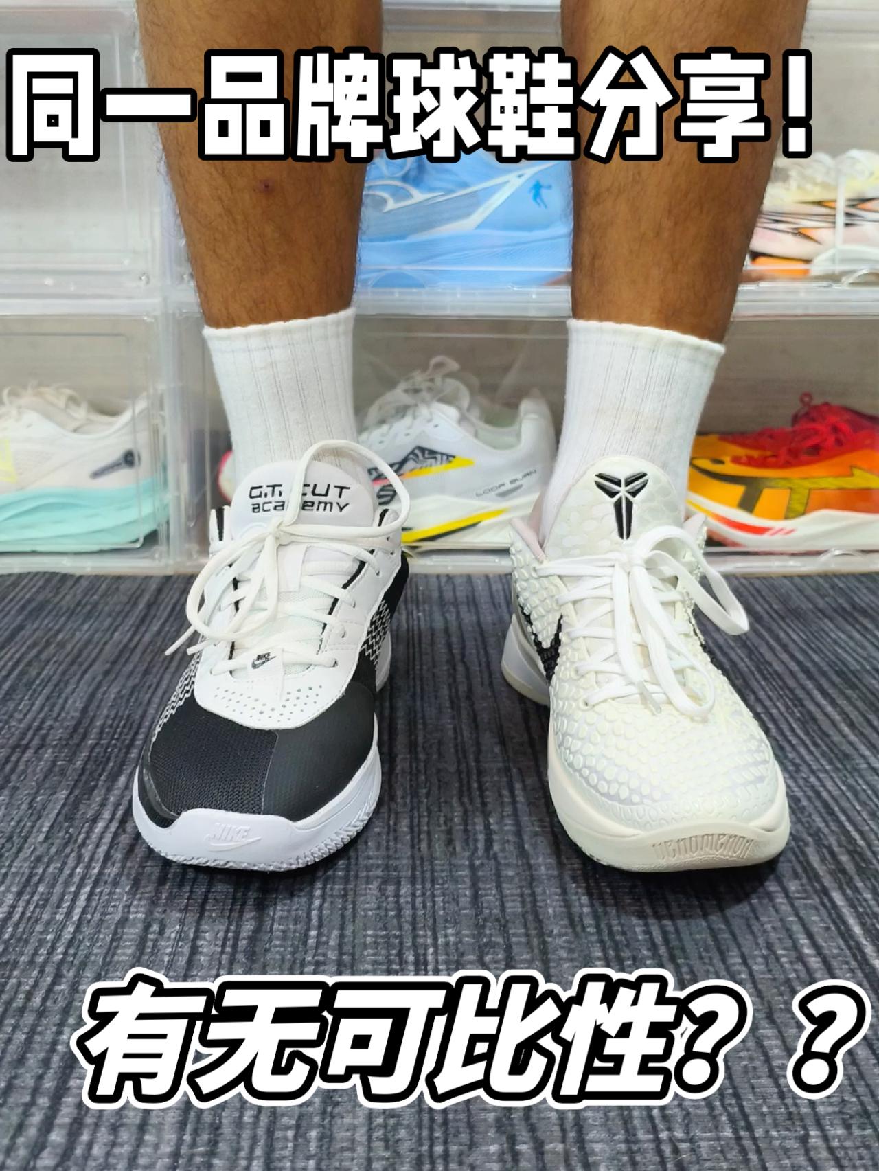 价格相差悬殊!两者有无可比性呢??