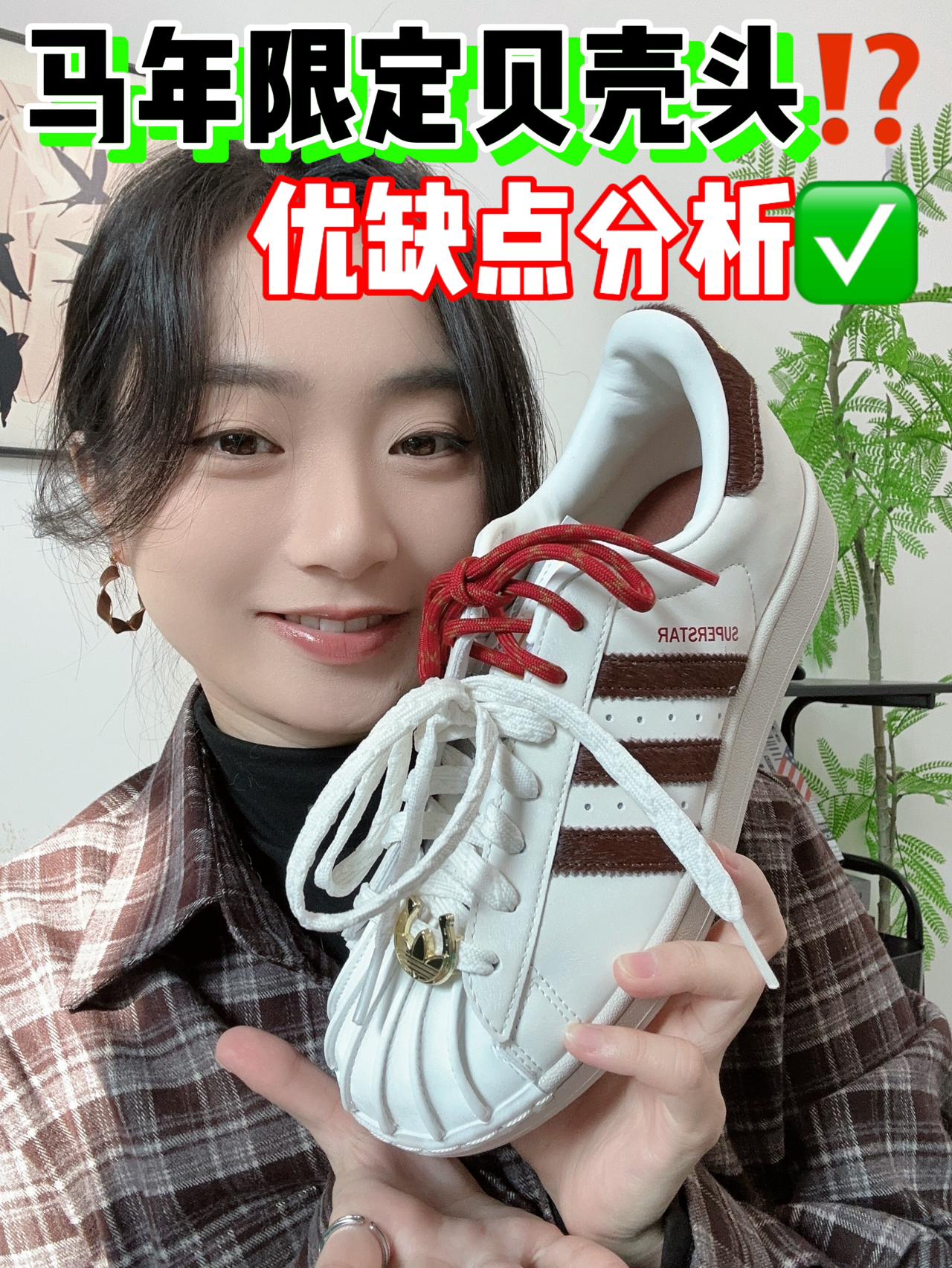 💰500+拿下的贝壳头真香～