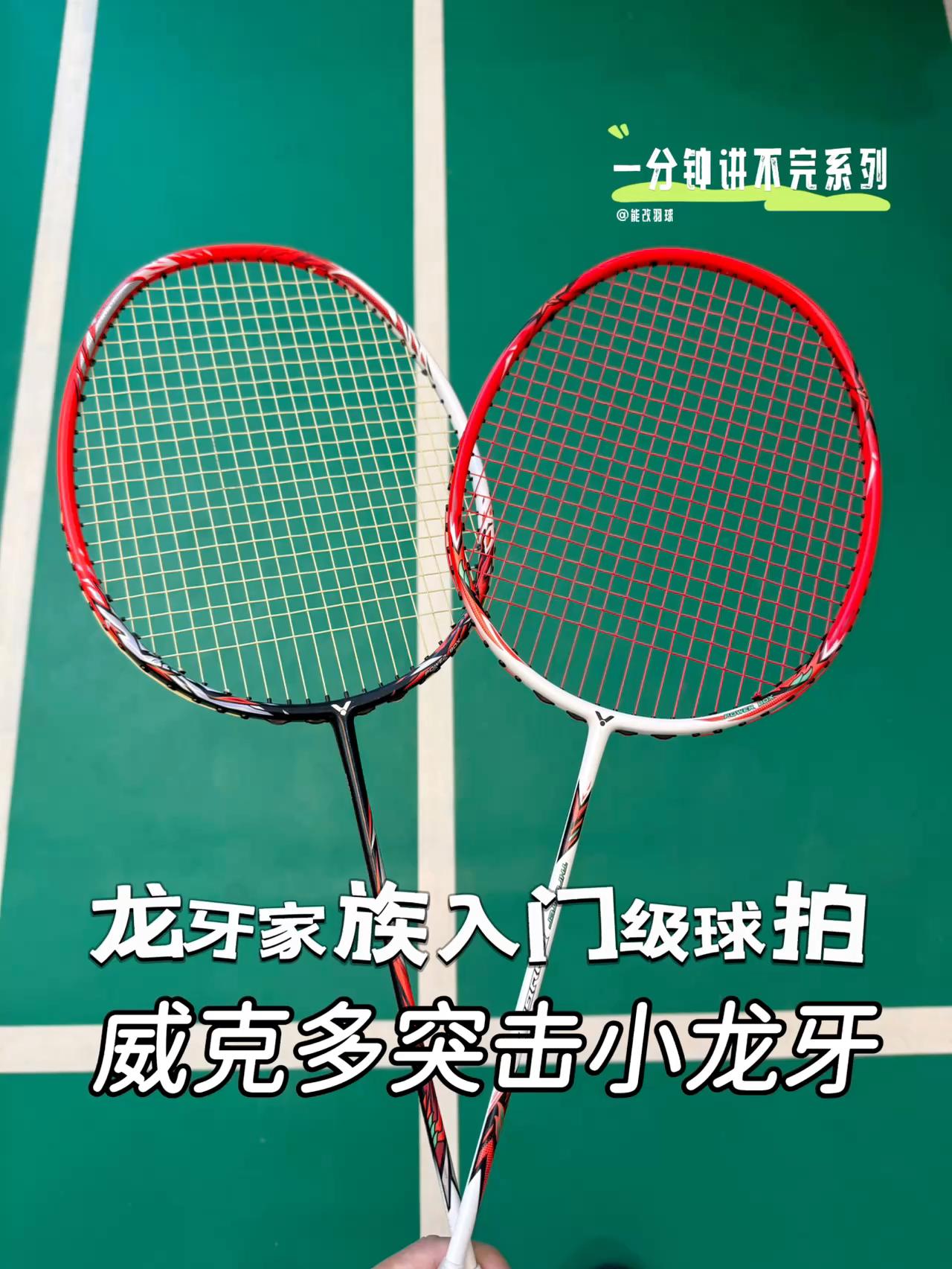 300+龙牙家族入门级羽毛球拍