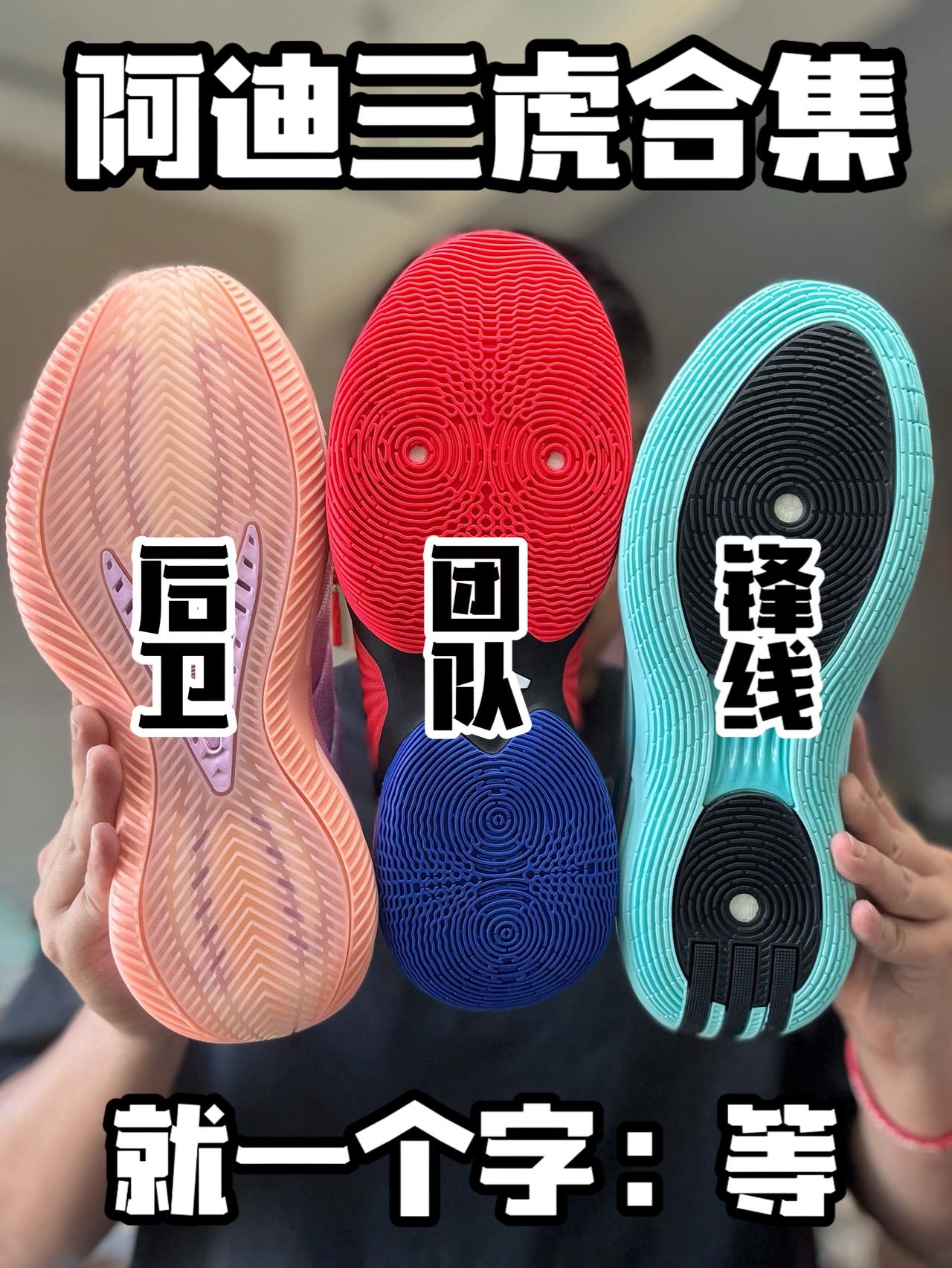 迪子三虎合集｜分别怎么选⁉️