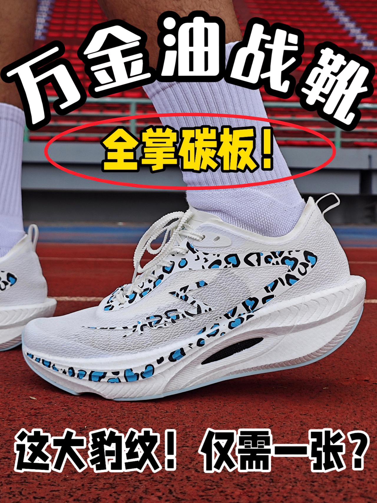 这大豹纹❗️这大碳板‼️一张拿下⁉️