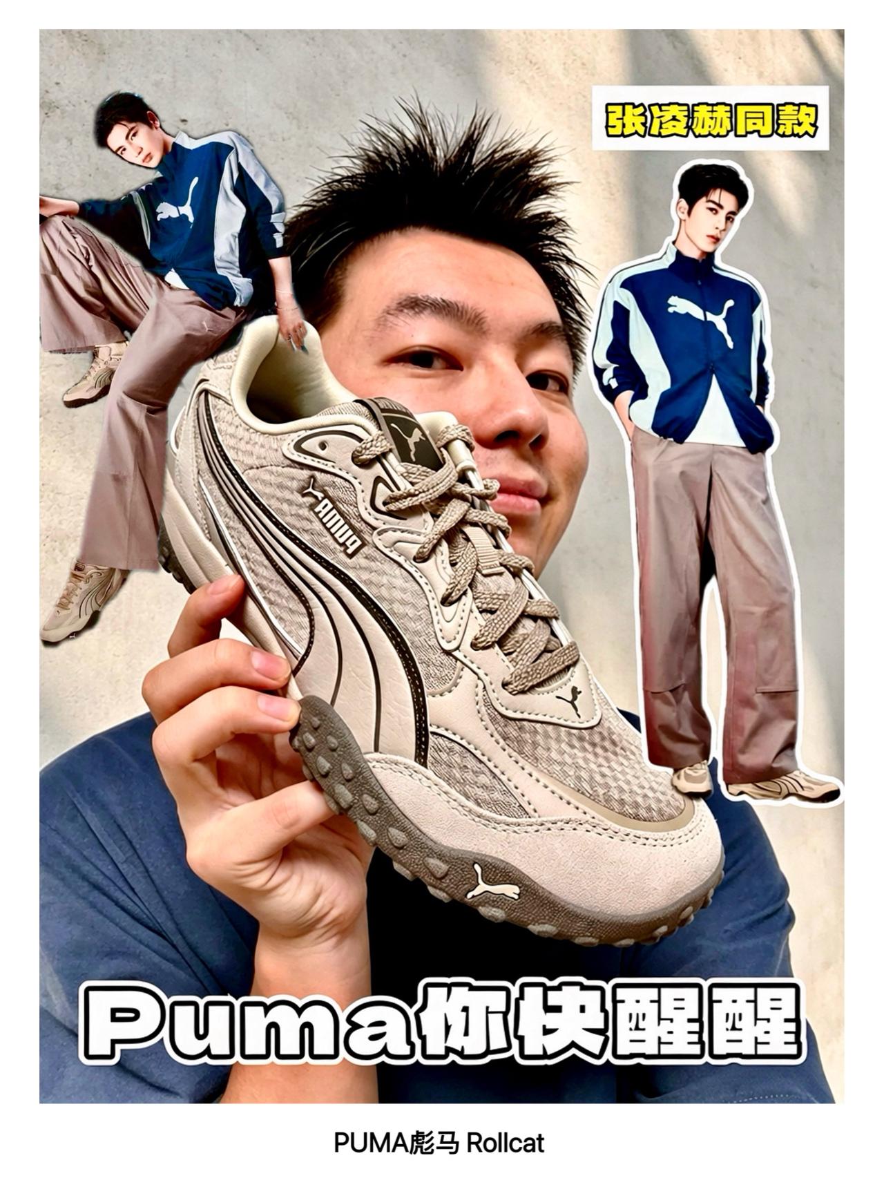 【张凌赫同款】优雅的很具体