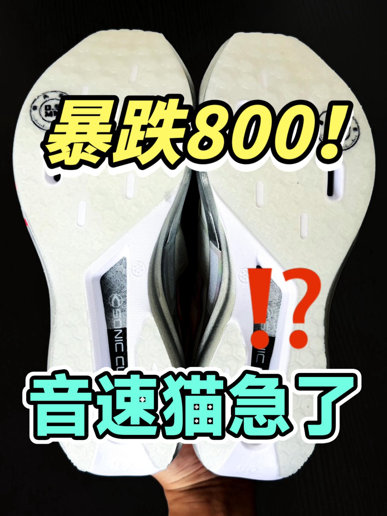 不是！音速猫又放新大招了！？