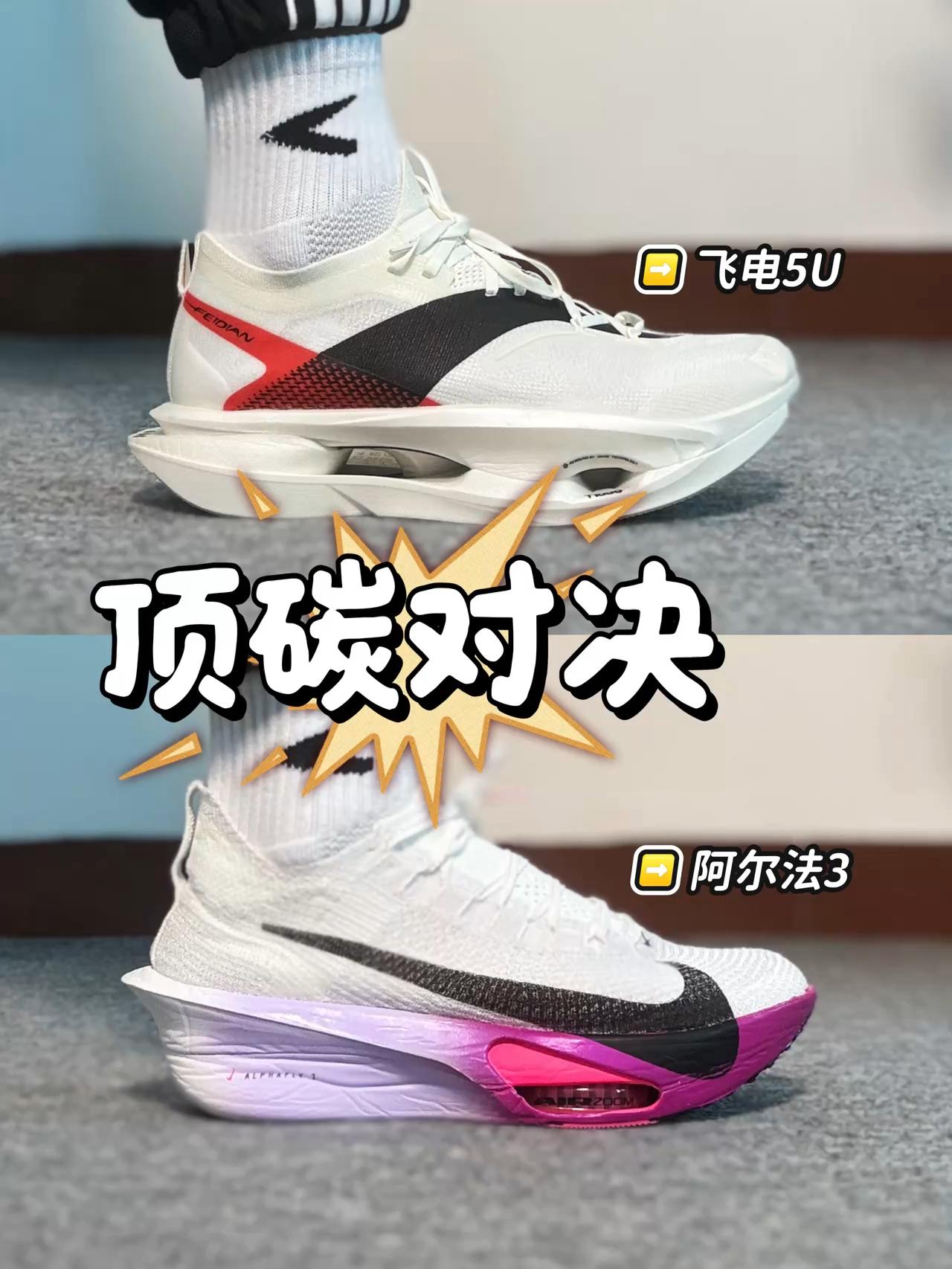 选对不选贵｜顶碳对决谁更强❓