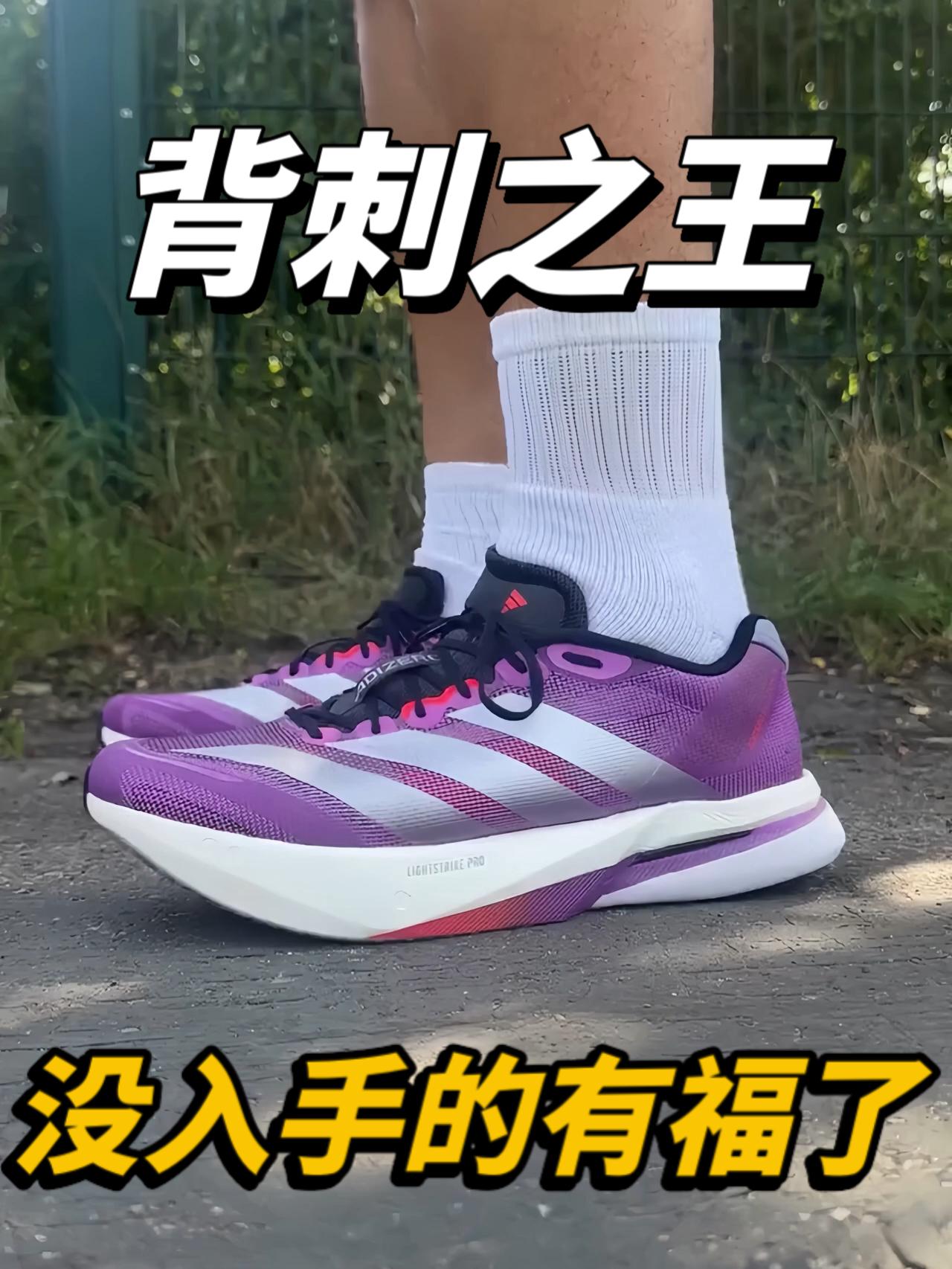 【波士顿13只要6开了，有没有性价比❓】