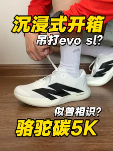 骆驼碳5K|似曾相识⁉️要吊打evosl⁉️