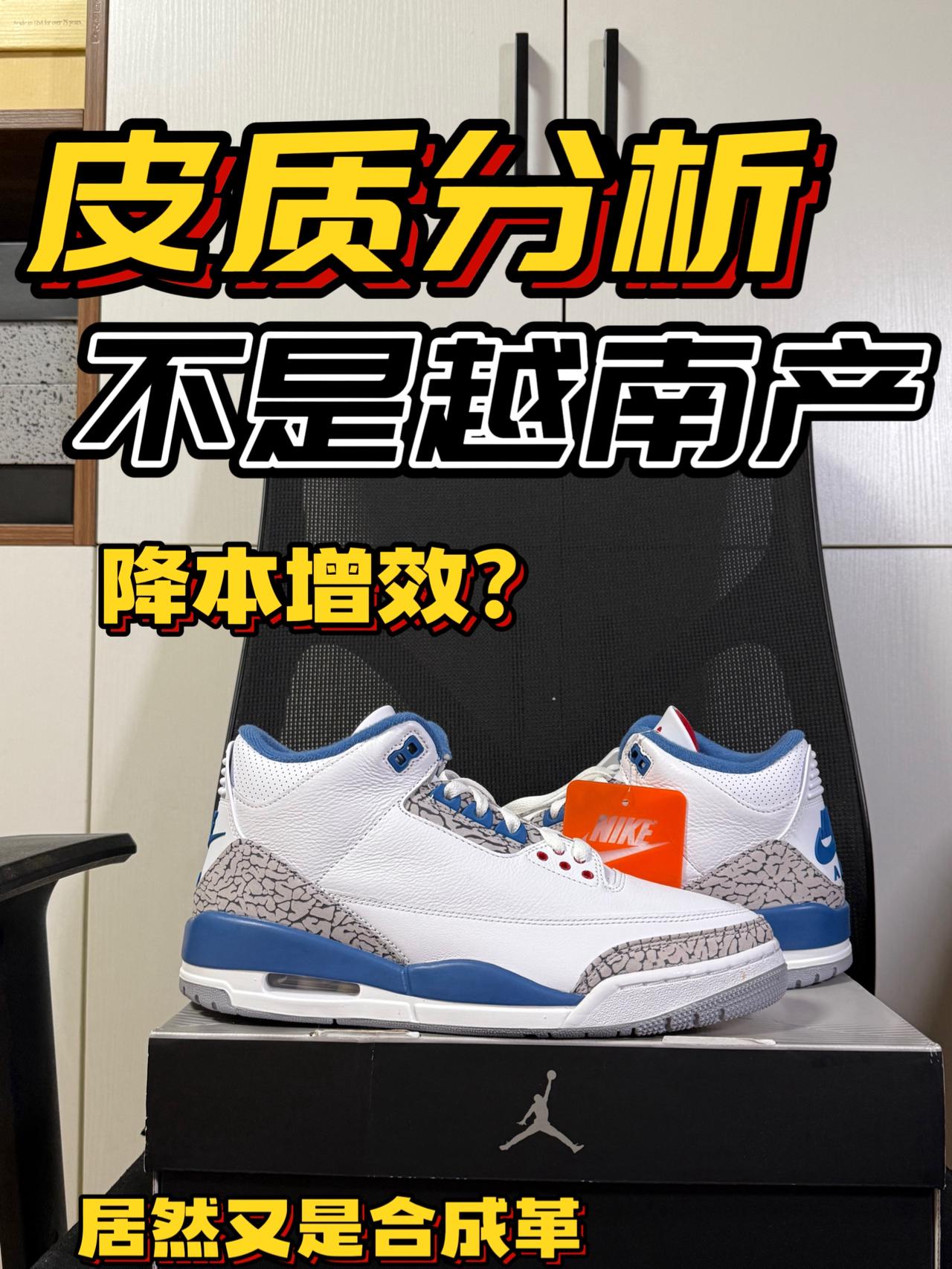 aj3真蓝皮质分析