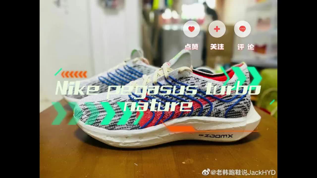 nike pegasus turbo n