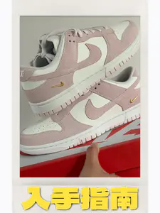 Nike dunk low 低帮板鞋白粉的入手指南