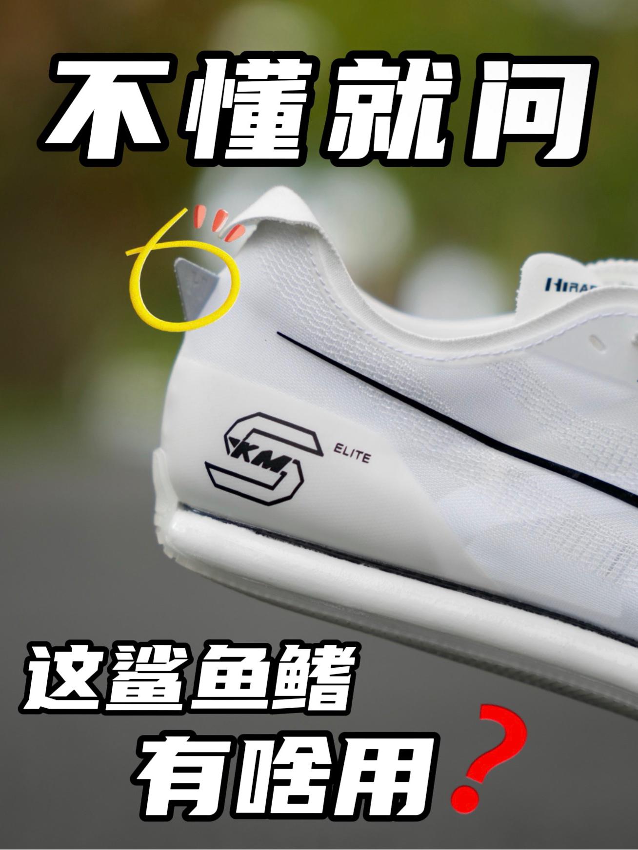 这鲨鱼鳍!到底有没有用!