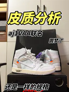 aj1VAA联名皮质分析