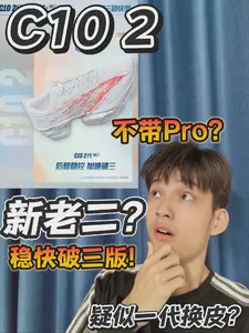 C10 2不带Pro?|紧急补充的新老二?