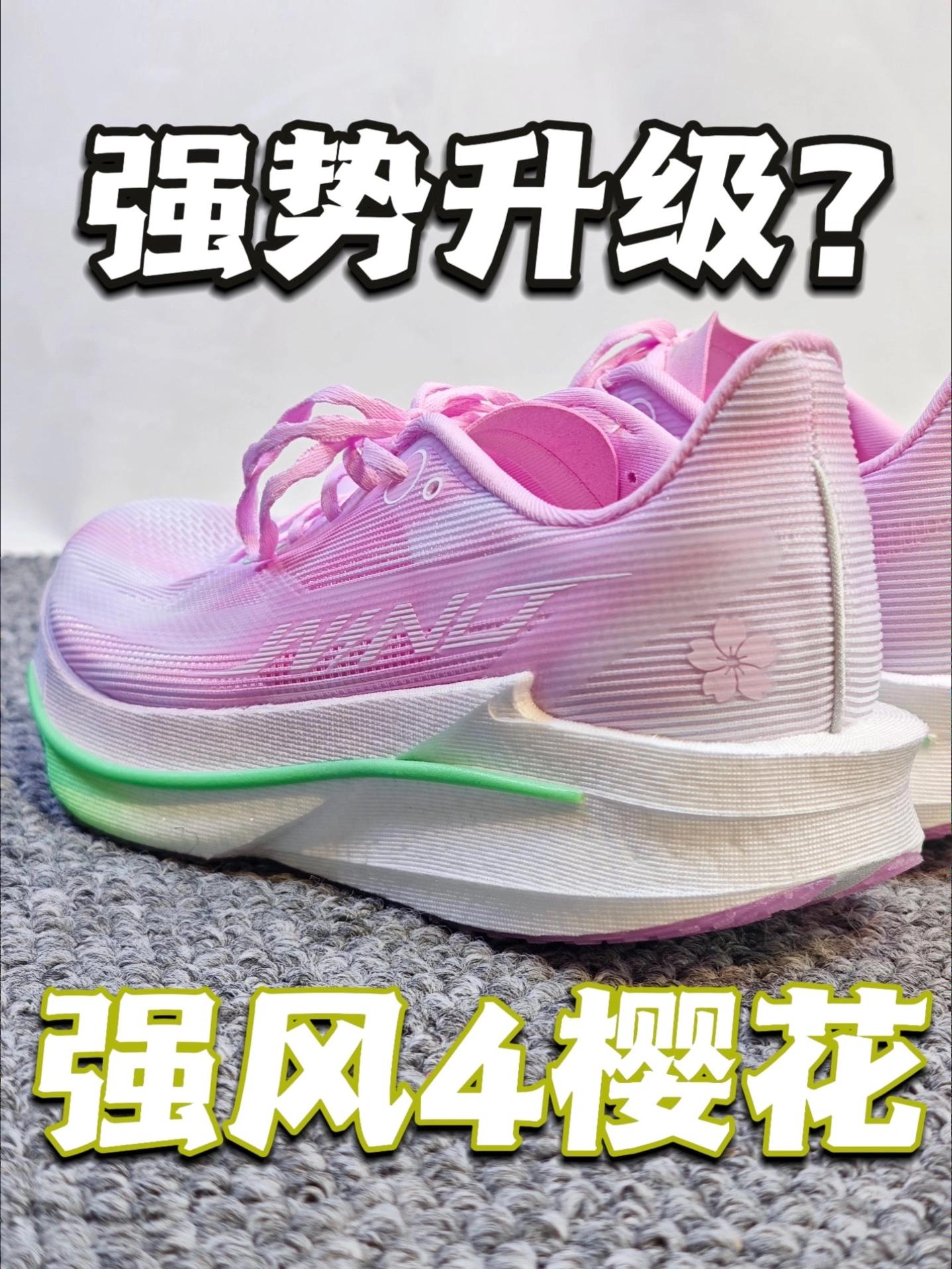 强势升级？强风4樱花配色