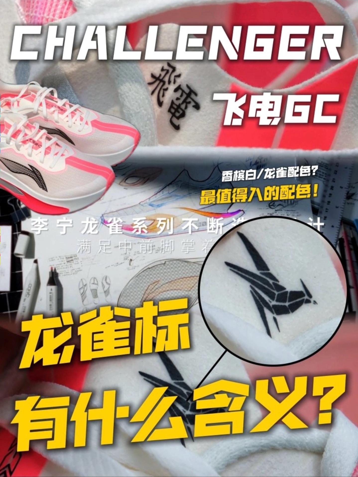 飞电家族的龙雀标，有啥含义？