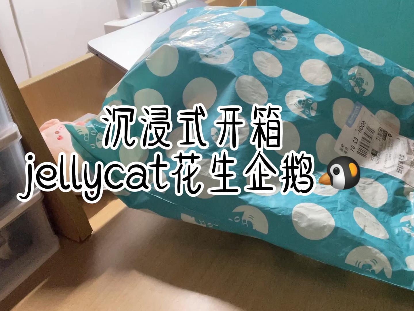 叮~你的花生企鹅到啦~