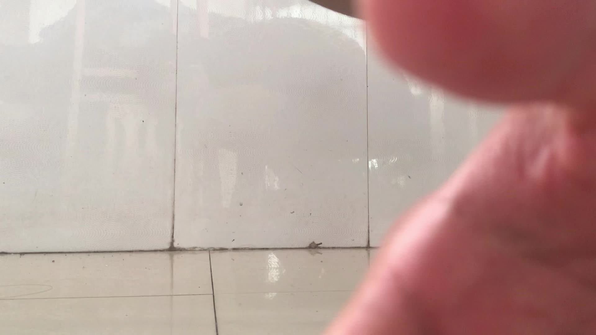 简版fly3
