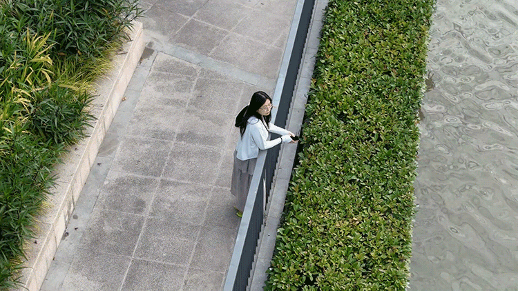 202307261845.gif