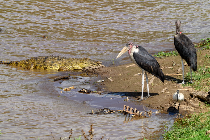 DSC_2905.jpg