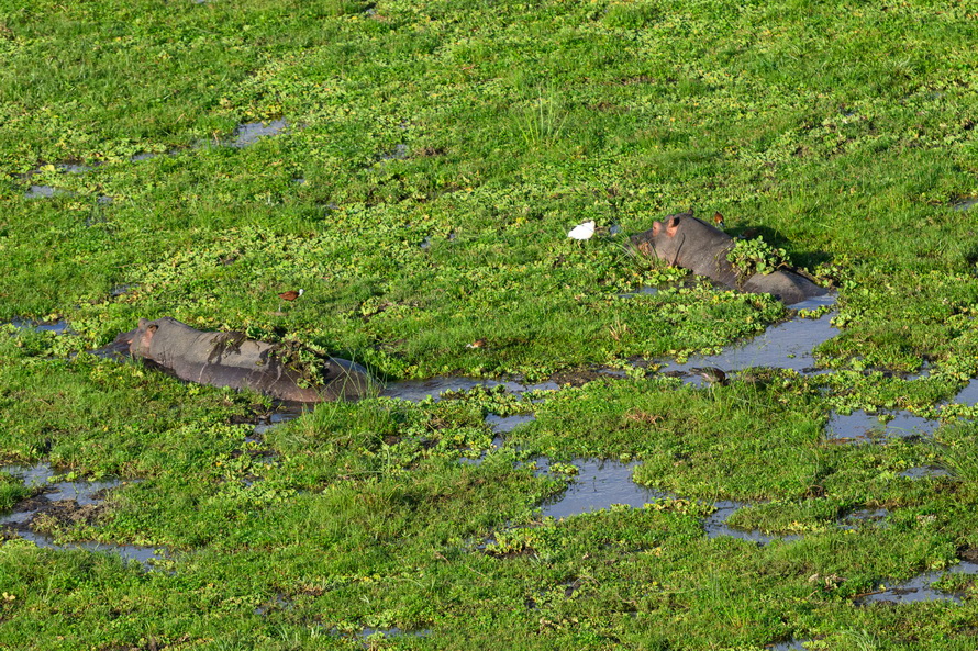 DSC_5614.jpg