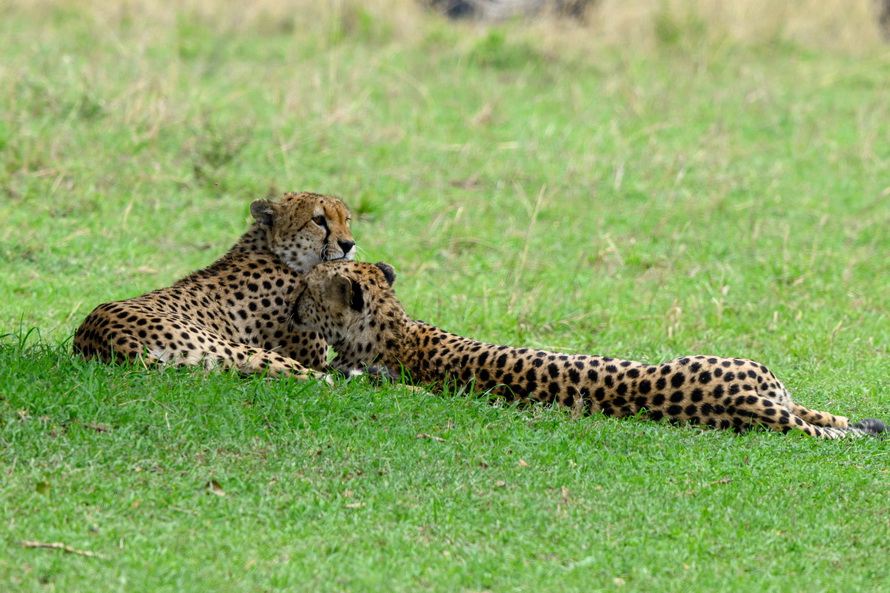 DSC_1637.jpg
