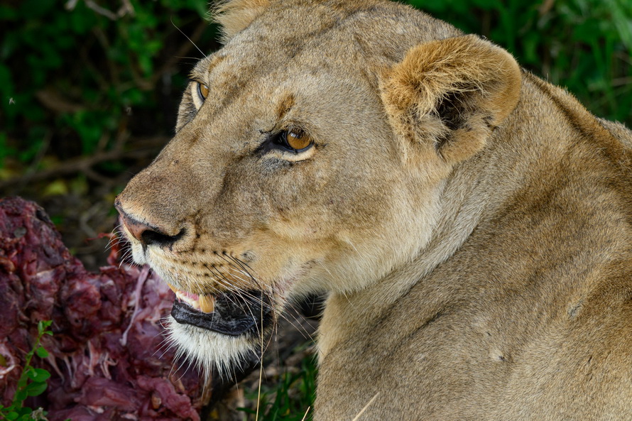 DSC_3063.jpg