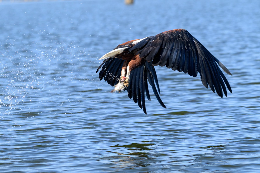 DSC_3832.jpg