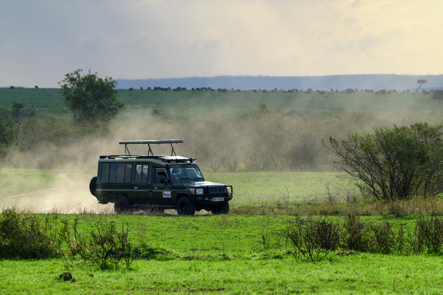 DSC_1772.jpg