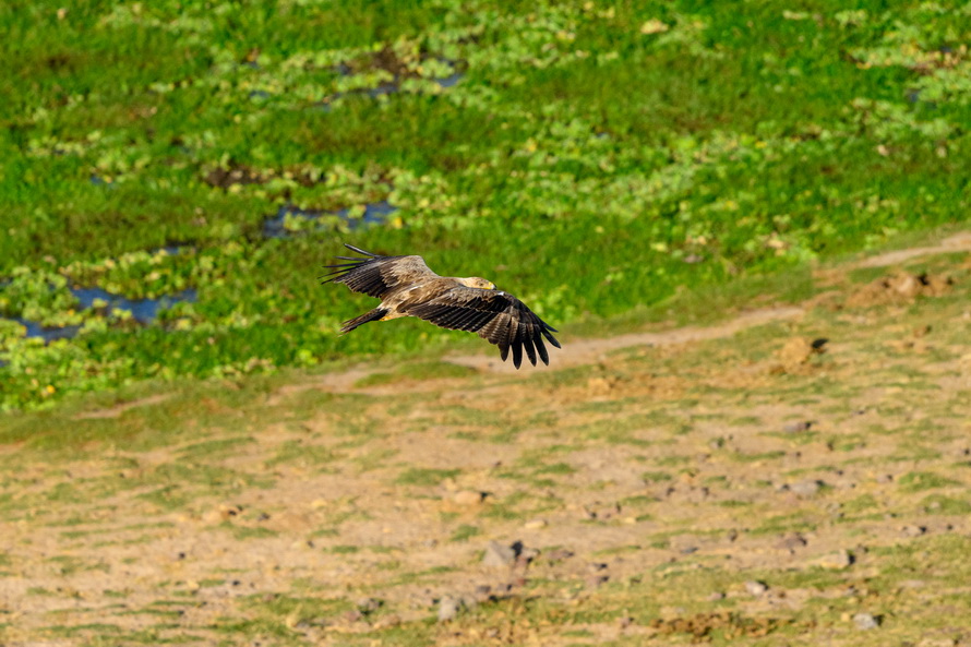 DSC_5618.JPG