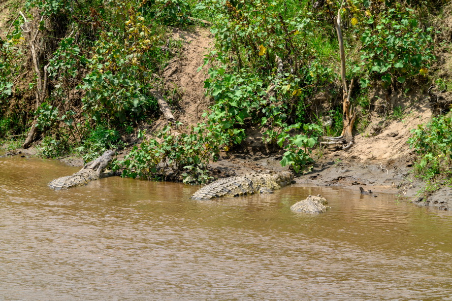DSC_2668.jpg
