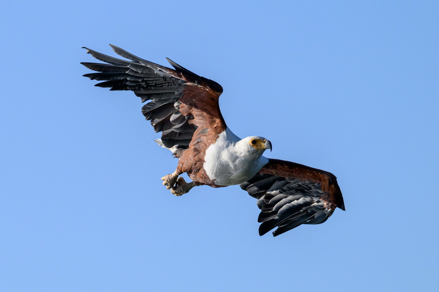 DSC_3821.jpg