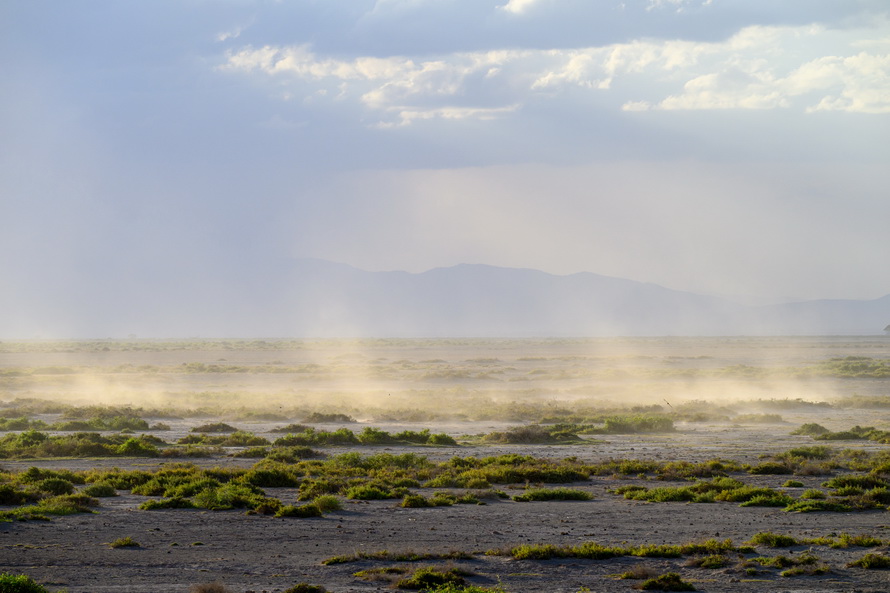 DSC_5768.jpg