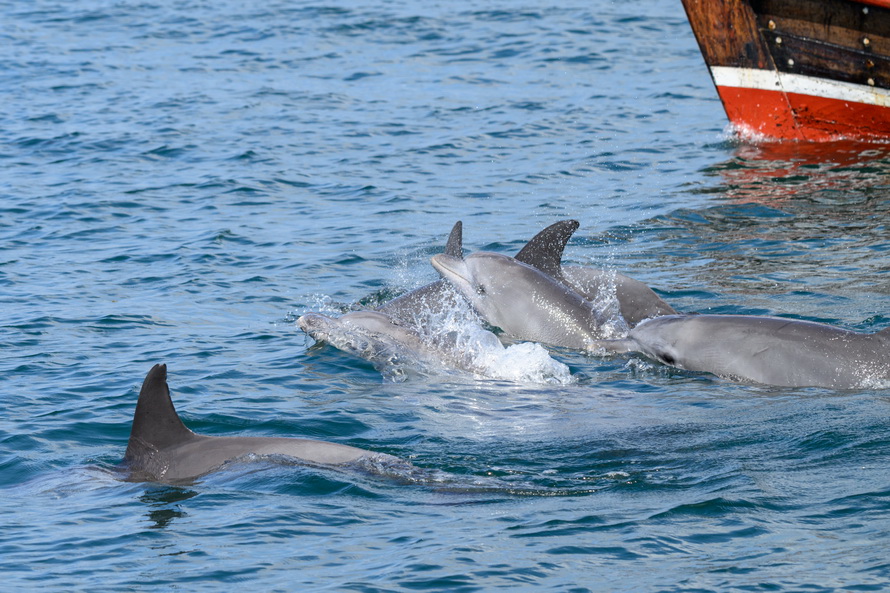 DSC_6356.jpg