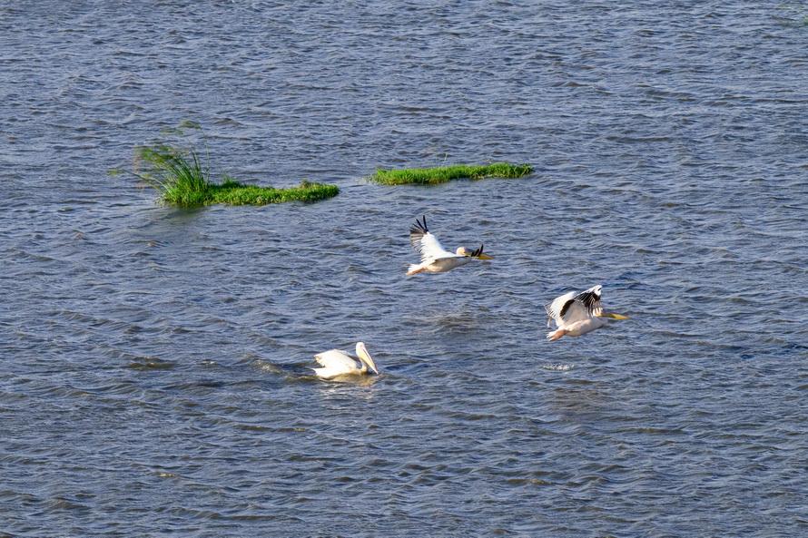 DSC_5739.JPG