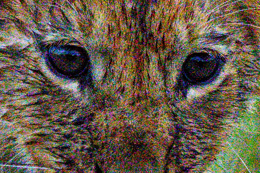 DSC_1013CROP.jpg