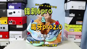 双11开箱2-锋刺6pro&毒牙pro2