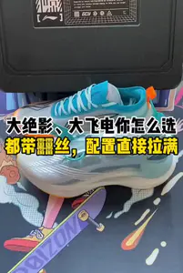 大飞电 VS 大绝影