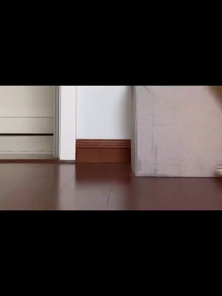 👟鞋子分享之休闲类(一)