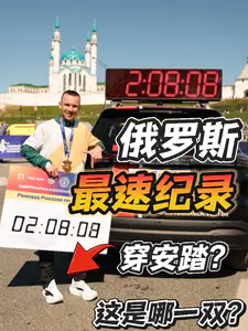 大鹅纪录挂钩国产?|208有点慢?
