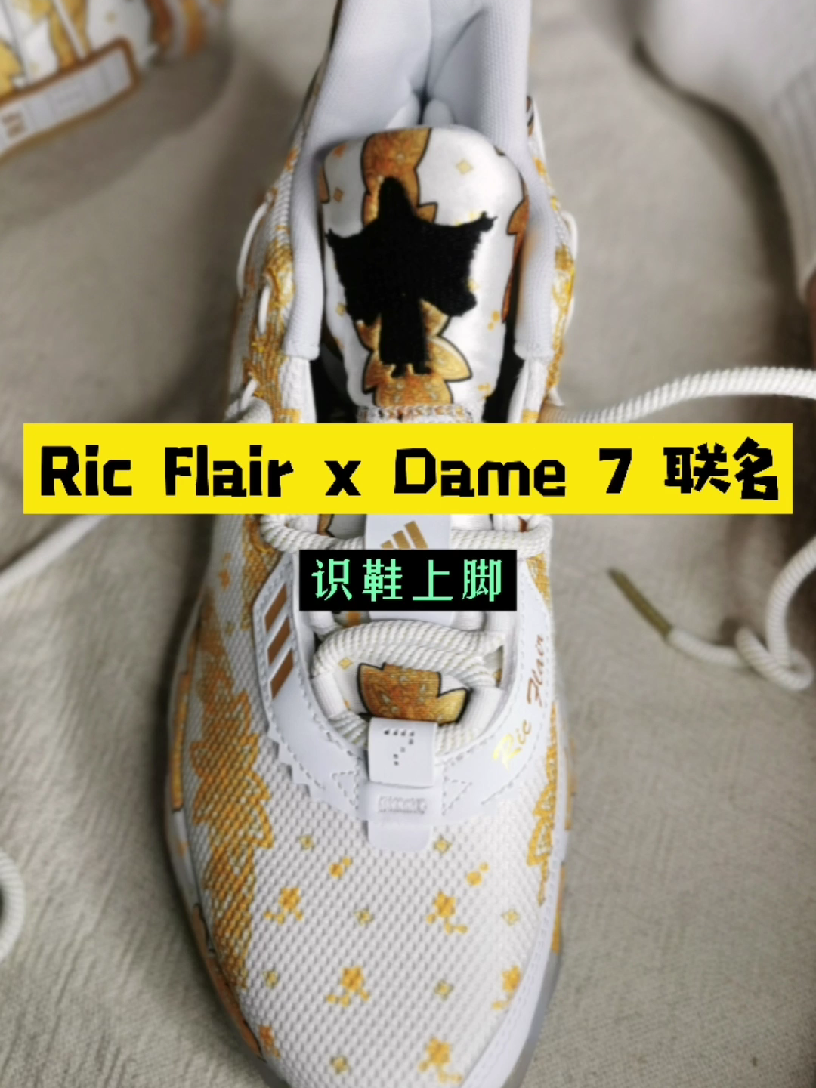 利拉德和最喜欢的职业摔角选手之一 Ric